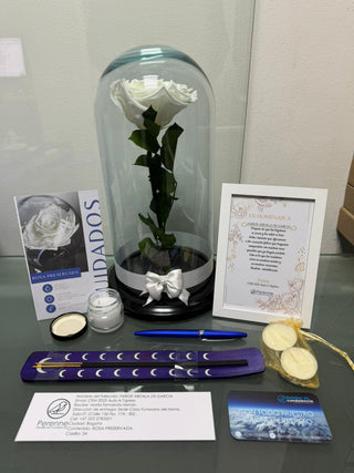 Plantas y flores que perduran