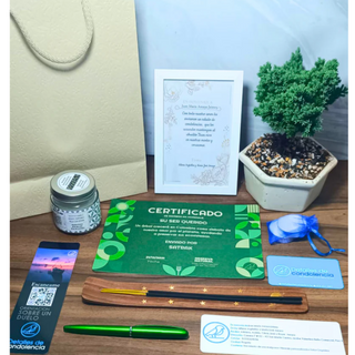 Siembra de arboles en homenaje