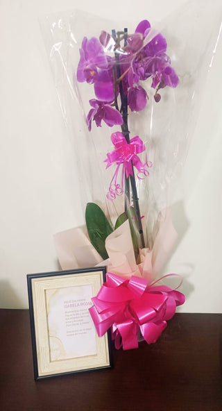 Orchid + Picture Frame