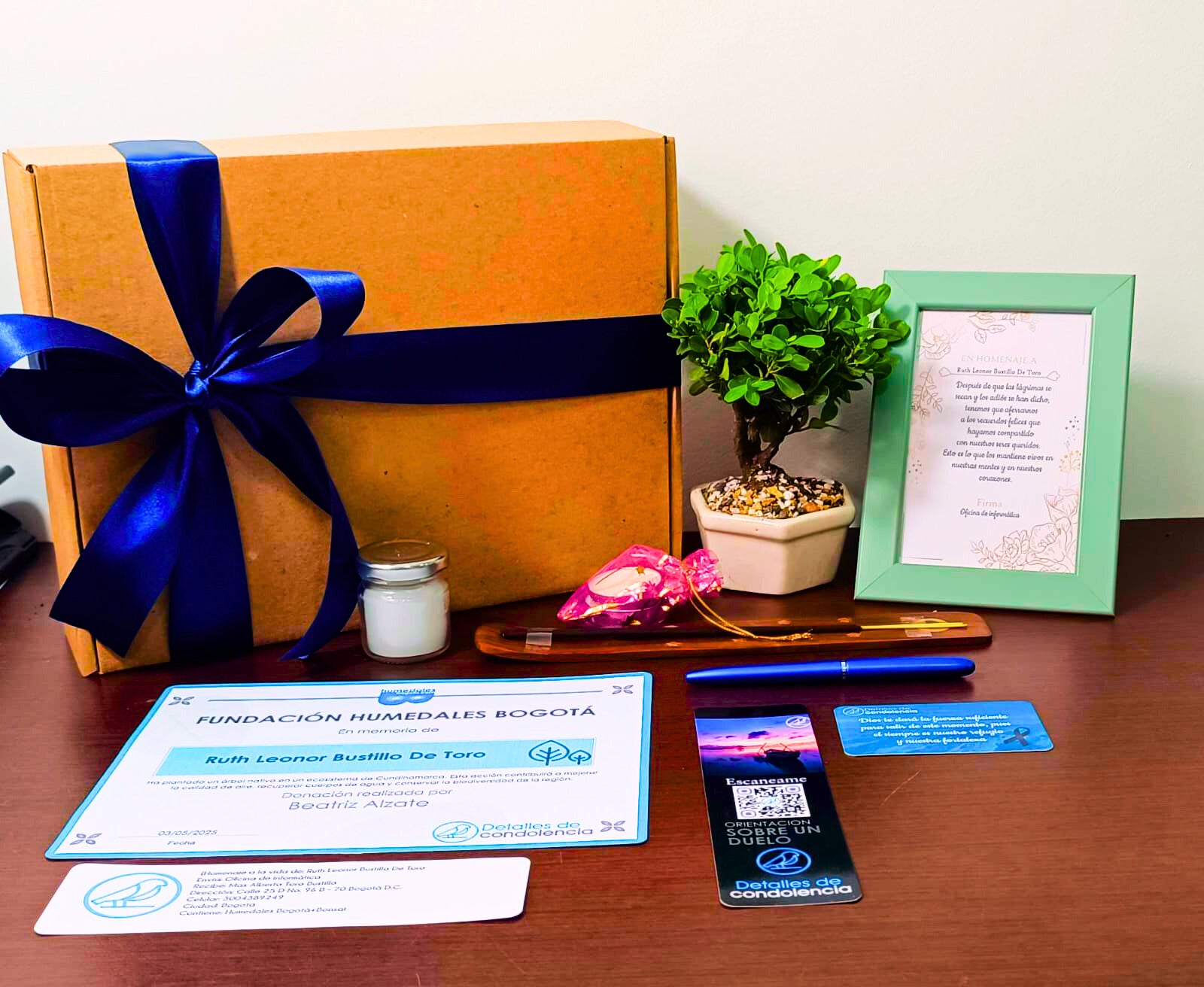 Humedales Bogota+Bonsai