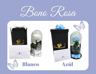BONO FUNDASAB + ROSA PRESERVADA
