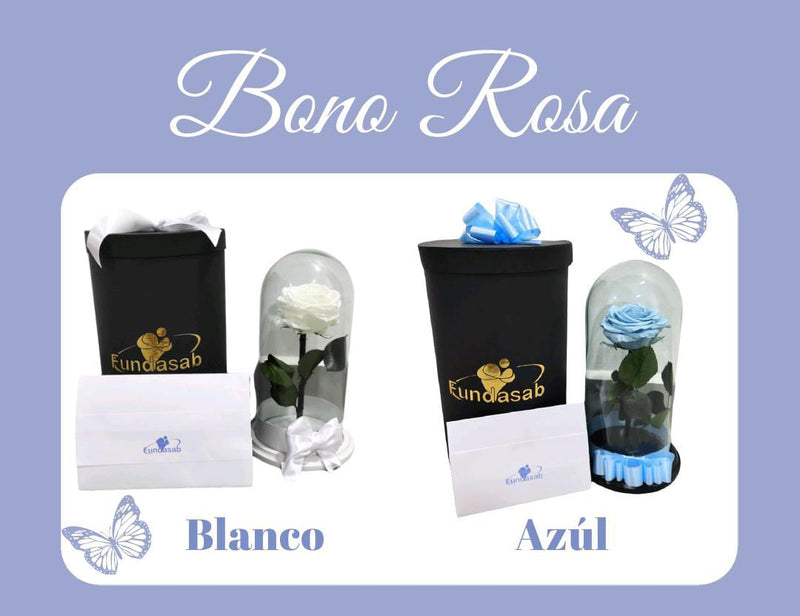 BONO FUNDASAB + ROSA PRESERVADA