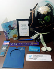 Sanar Mariposa + Rosa Preservada