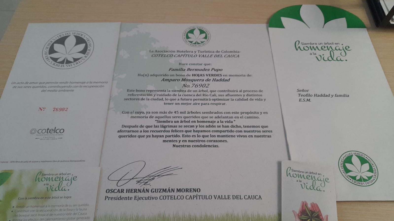 Pedestal Verde Alto+ Hojas vedes cali o bogota