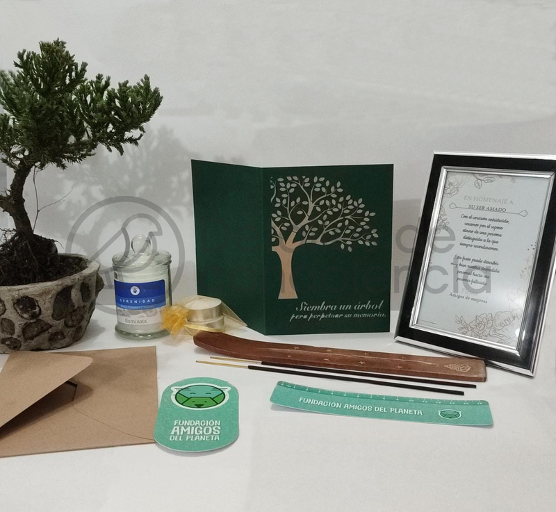 BONO SIEMBRA UN ARBOL FUNDACION AMIGOS DEL PLANETA+BONSAI