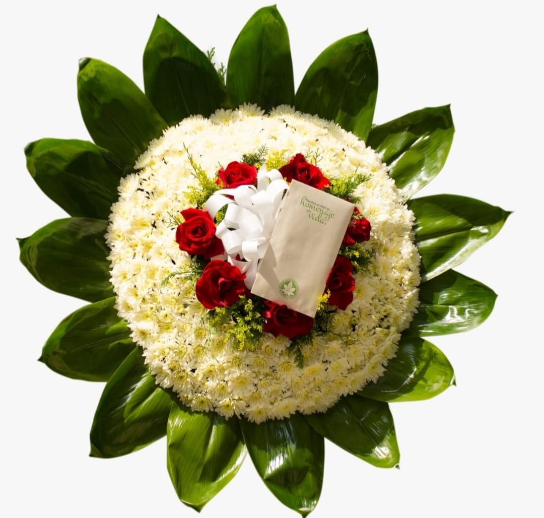 Corona Verde Flora + Bono Hojas Verdes Cali o Bogota