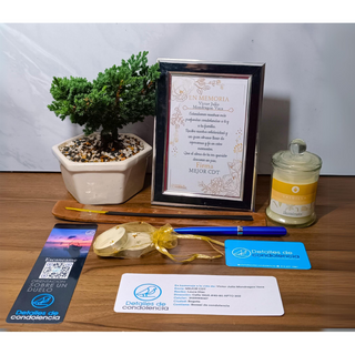 BONSAI DE CONDOLENCIAS