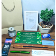 Siembra de arbol Bogota+Bonsai