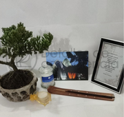 Fundación Emilio de Bridgar+Bonsai