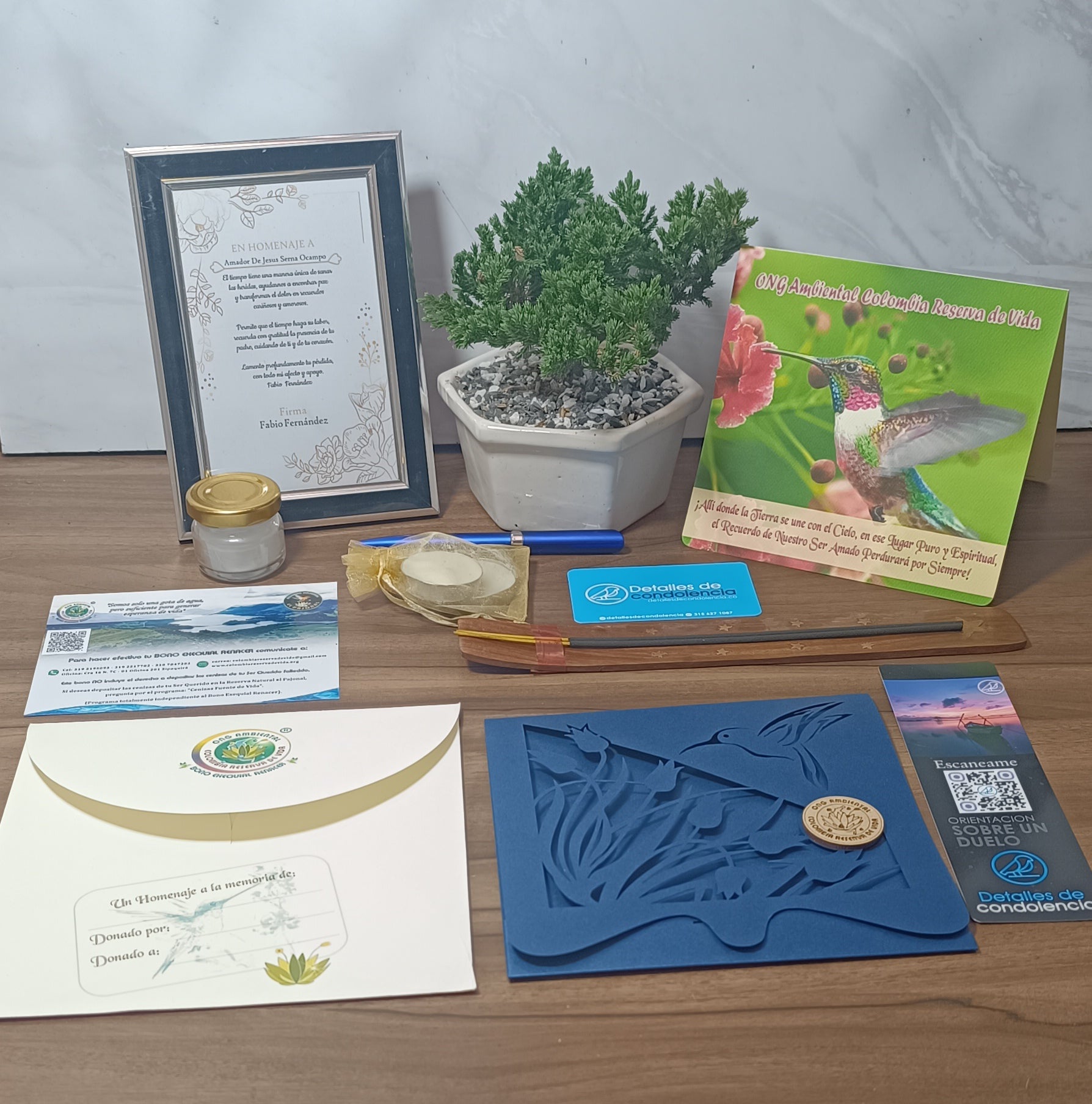 Bono Renacer + Bonsai