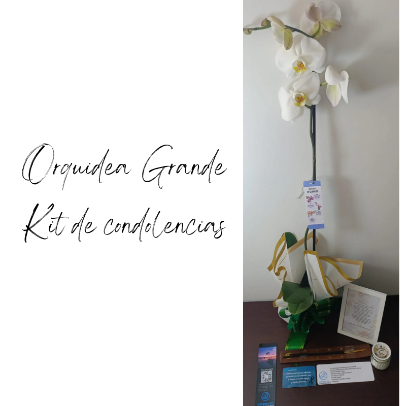 ORQUIDEA GRANDE KIT DE CONDOLENCIAS