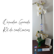 ORQUIDEA GRANDE KIT DE CONDOLENCIAS