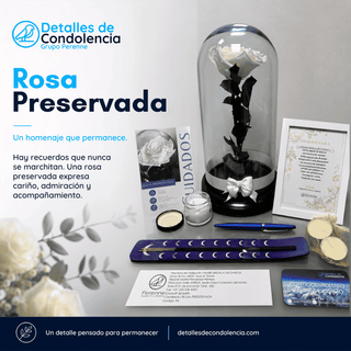 Rosa preservada de condolencias