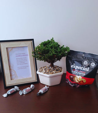 Special Bonsai + Hazelnuts + Chocobreaks