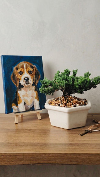 Cuadro + Bonsai