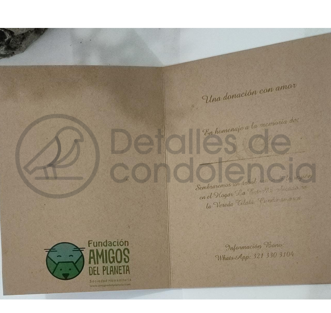 Siembra de arbol+Bonsai