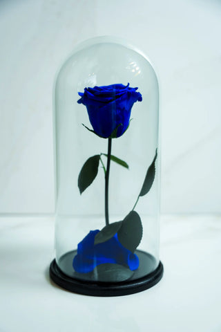 Rosa Preservada de Condolencias – Homenaje Eterno Perenne